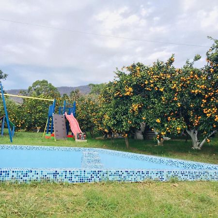 Holiday Home New Athos Ngoại thất bức ảnh